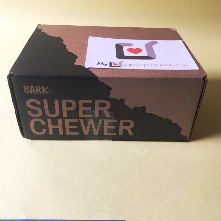 Super Chewer January 2020 Box itself