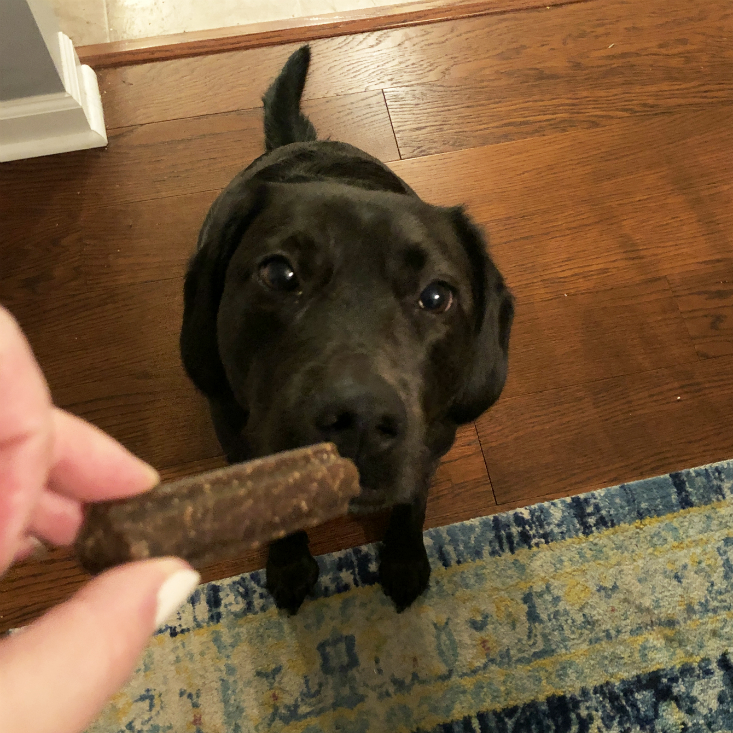 Super Chewer January 2020 Peanut Stick Good Boy