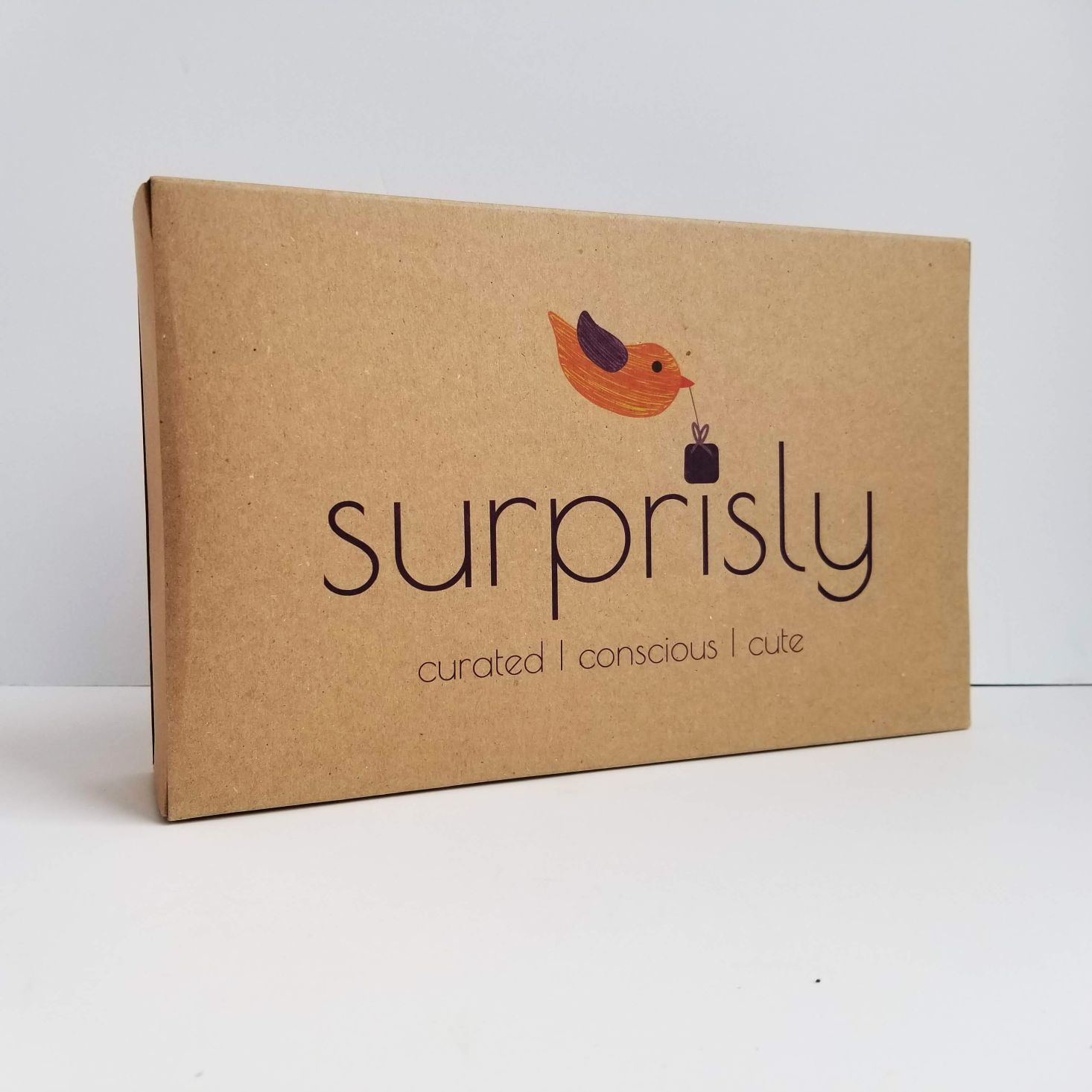 Surprisly Baby Clothing Subscription Box Review – February 2020