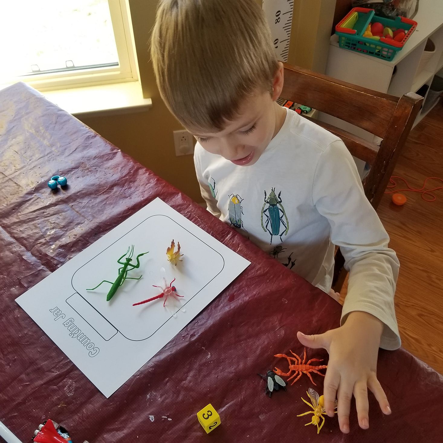 Preschool Box January 2020 bug activity