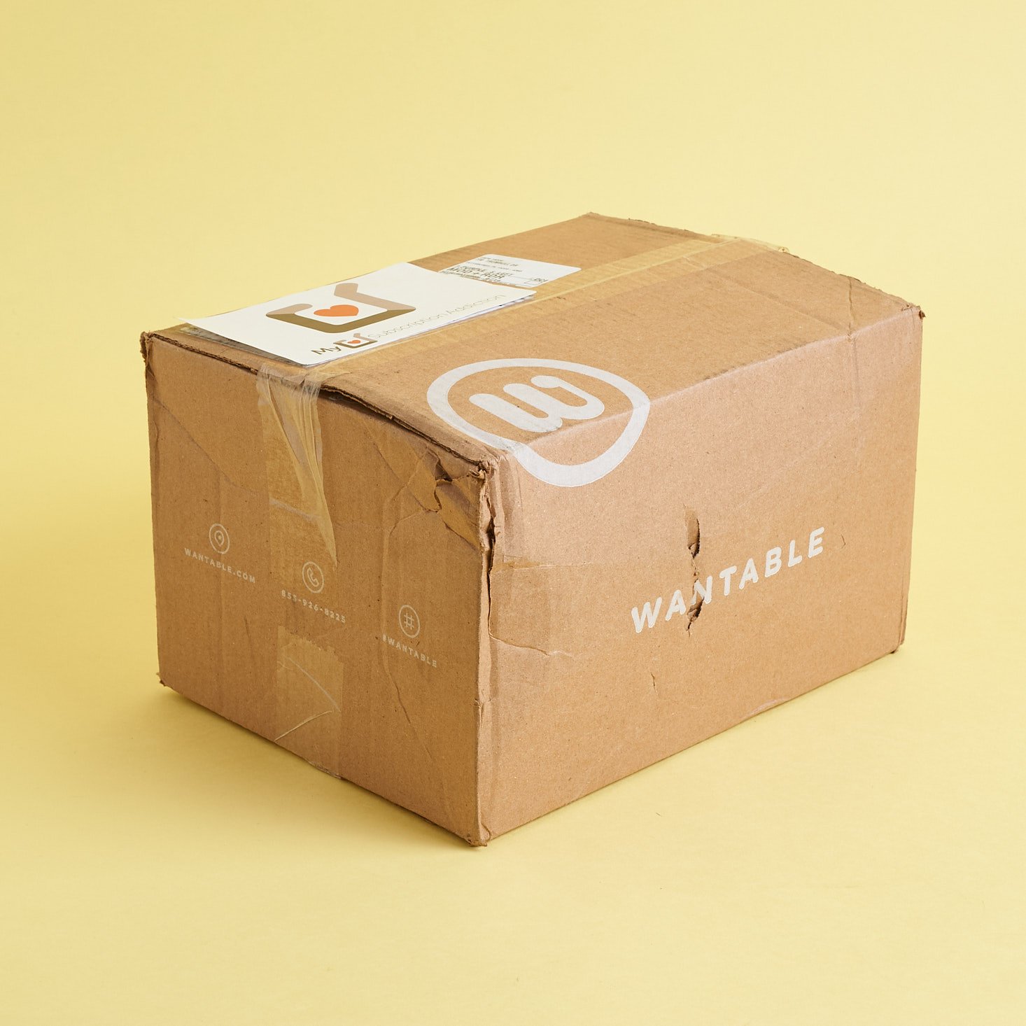 Wantable Fitness Edit Subscription Box Review – February 2020