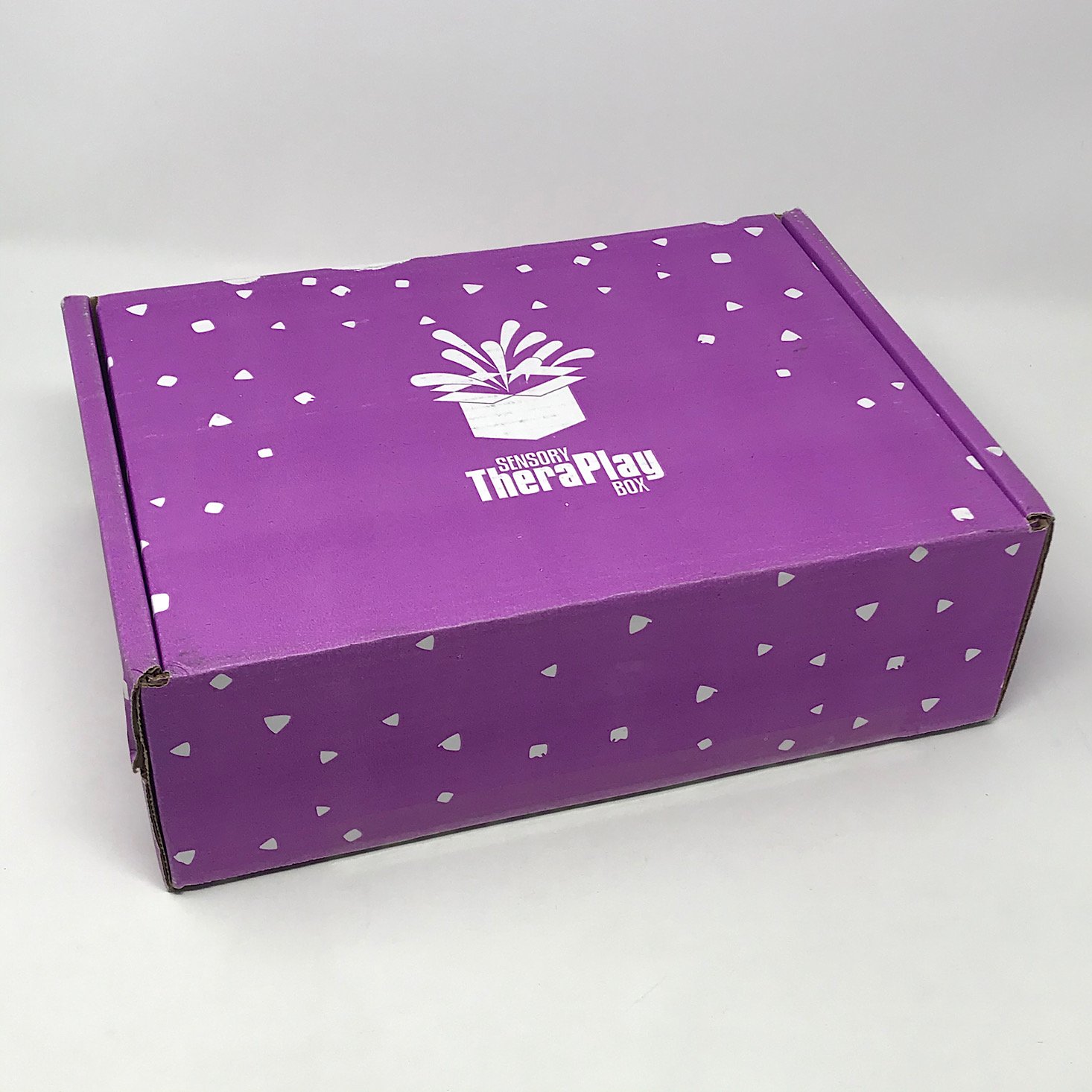 Sensory TheraPlay Box Review + Coupon – March 2020
