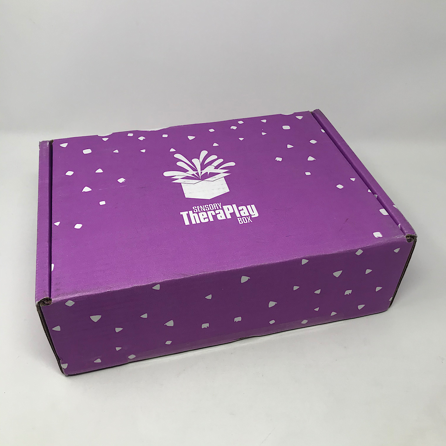 Sensory TheraPlay Box Review + Coupon – February 2020