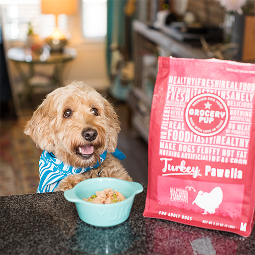 A Pup Above Coupon – Save 30% Off Your First Box!