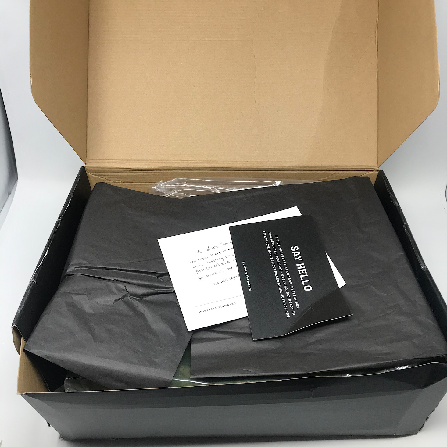 Universal Standard Classic Mystery Box Review – March 2020