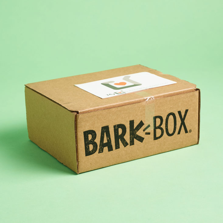 Barkbox February 2020