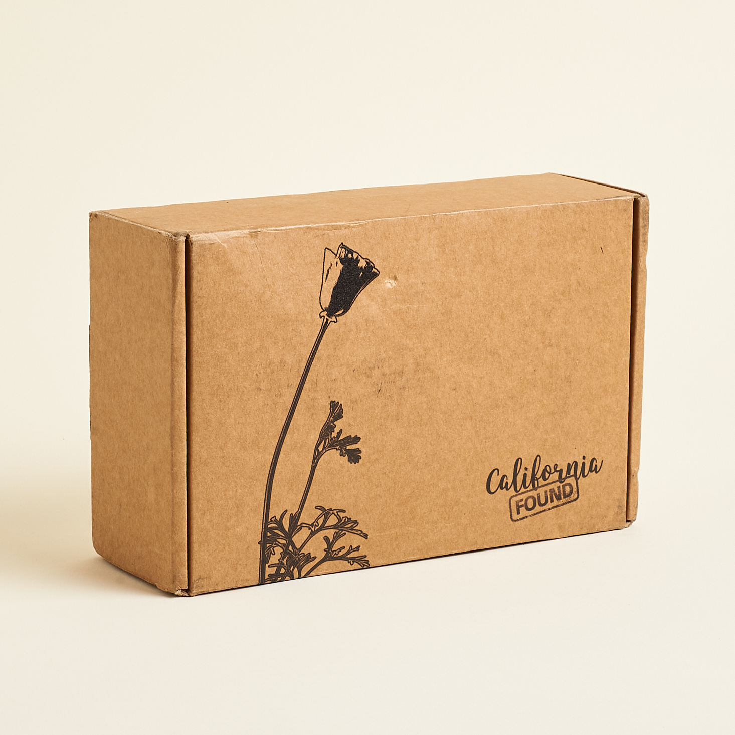 California Found Box Review + Coupon – February 2020