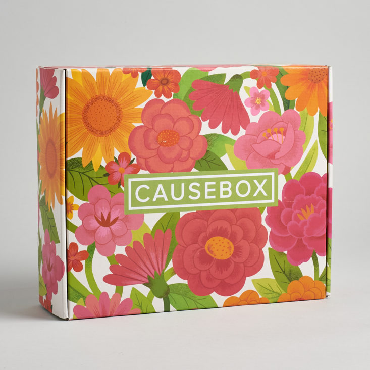 Causebox Spring March 2020 vegan subscription box review