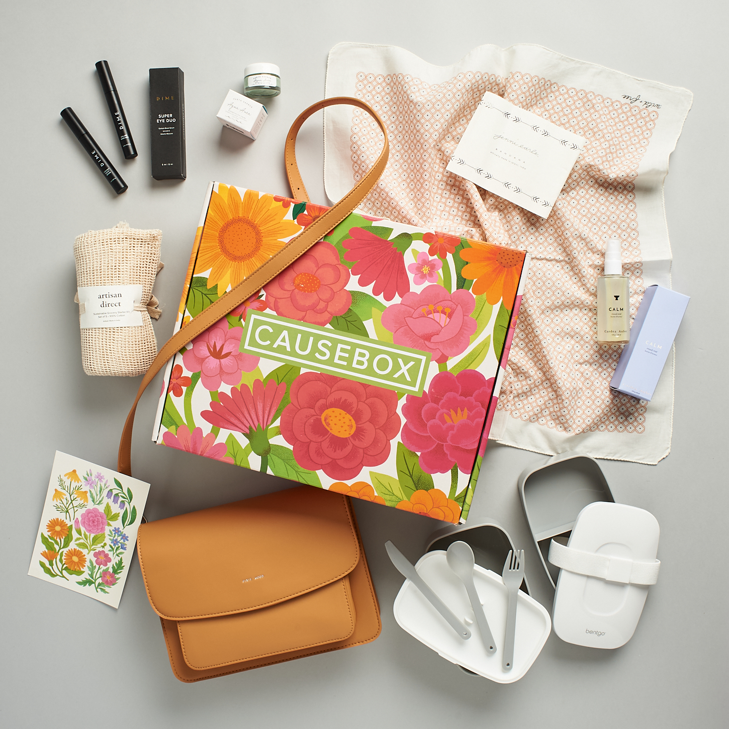 CAUSEBOX Subscription Review Spring 2020 MSA