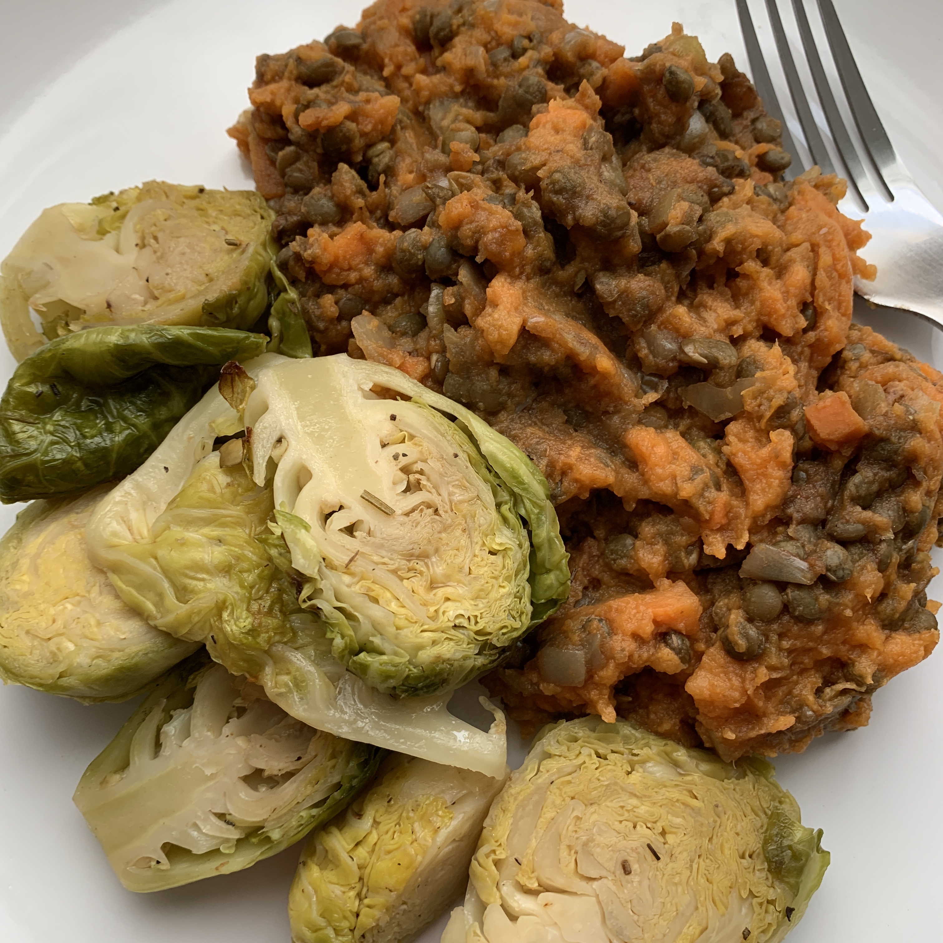 close up of Spiced Lentils with Sweet Potato Mash on plate