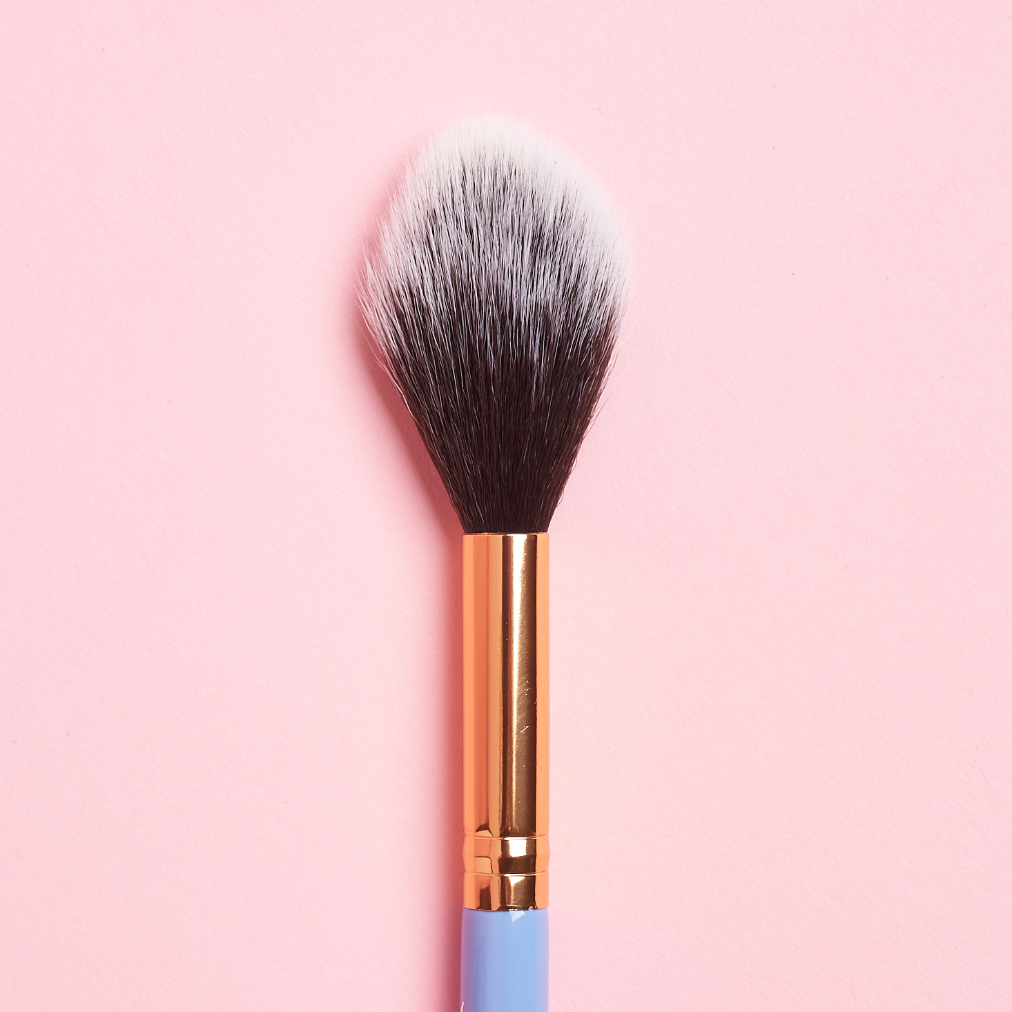 bi colored white and brown brush bristles