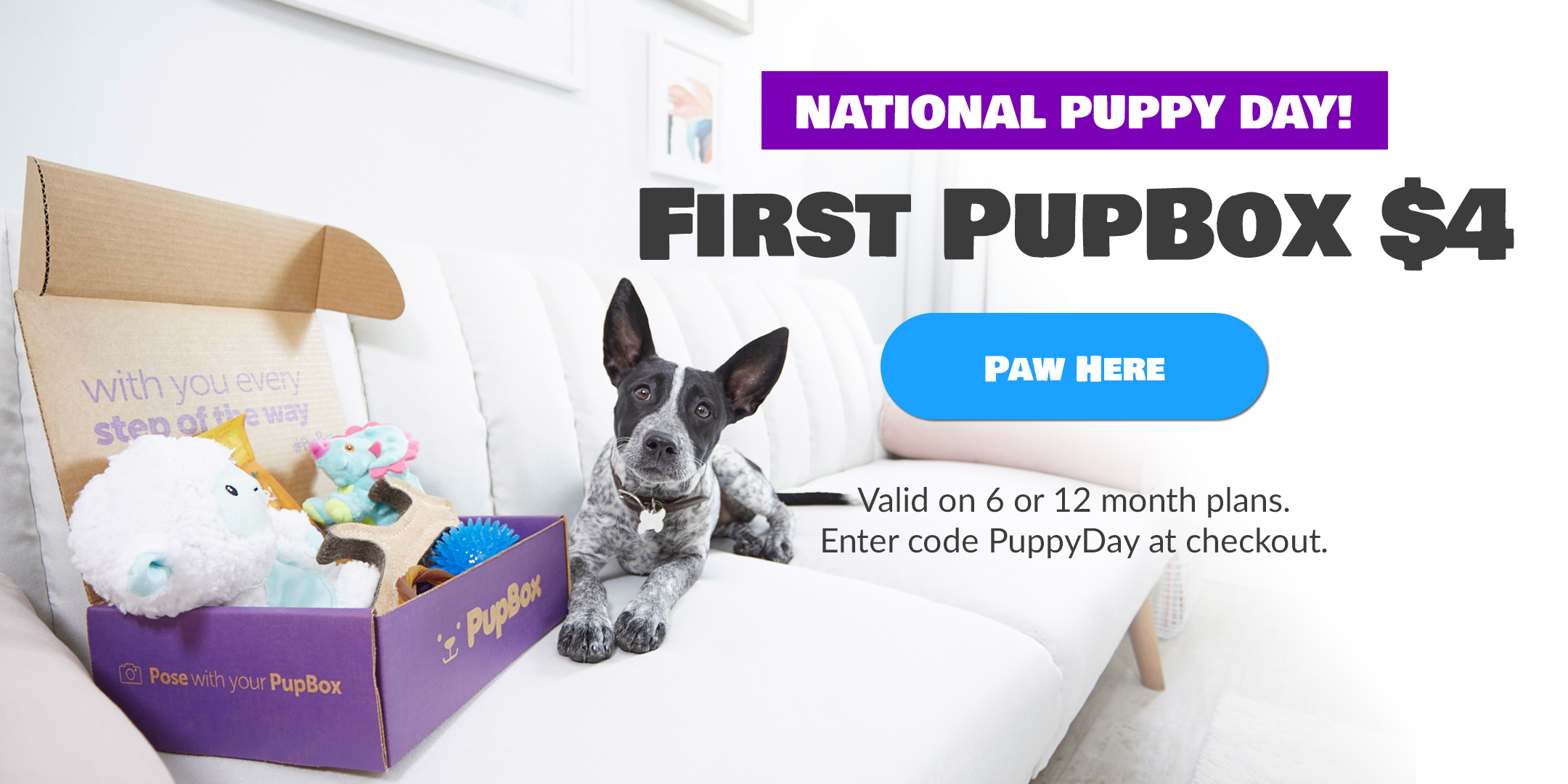 PupBox Puppy Box Deal – First Box for $4!