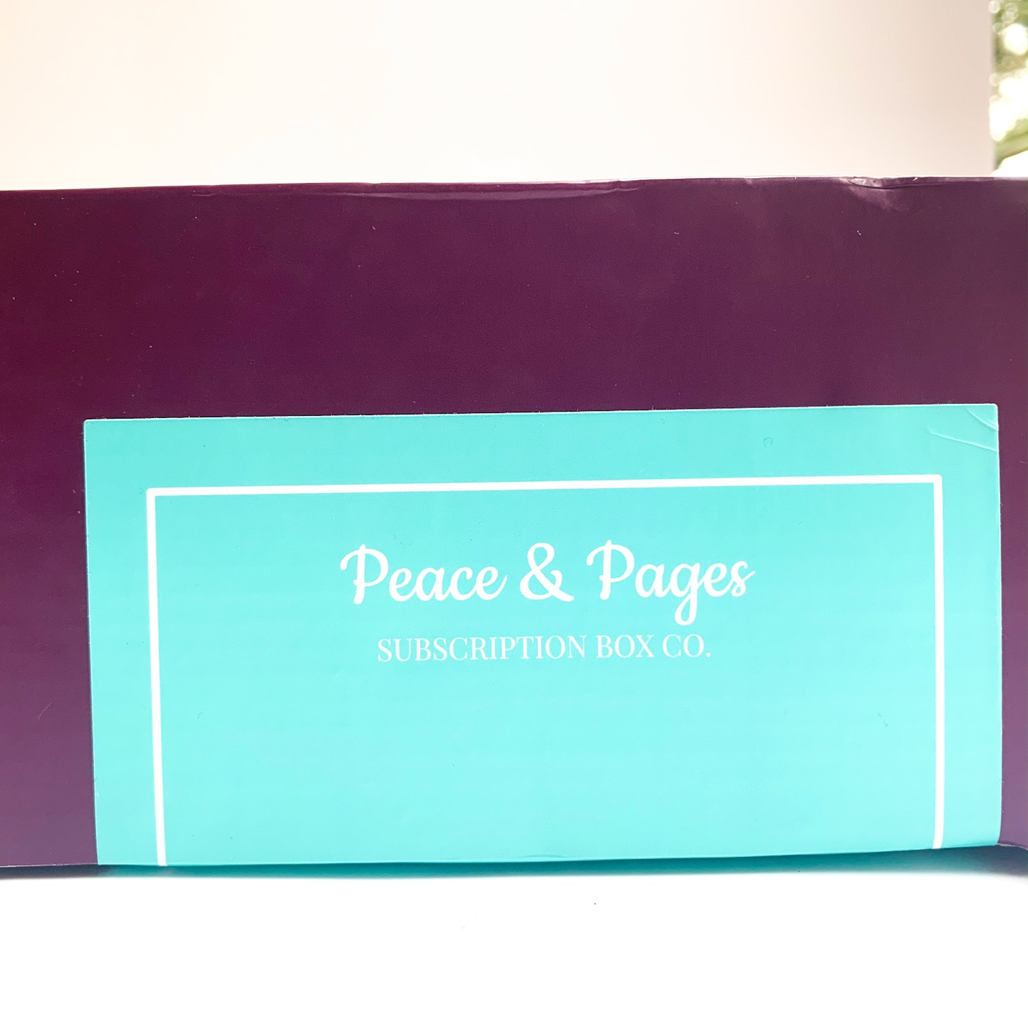 Peace & Pages Deluxe Box Review + Coupon – Drama + Suspense