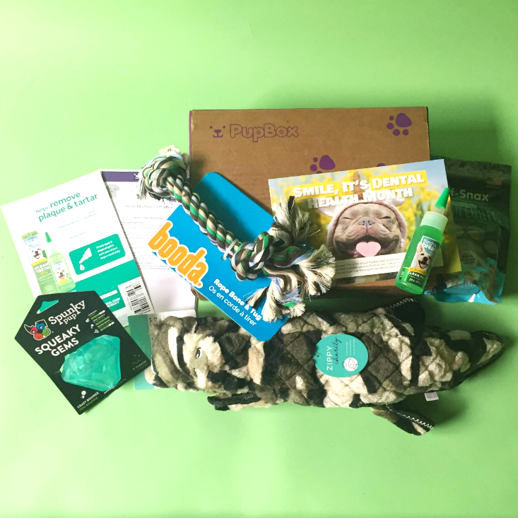PupBox Subscription Box March 2020 All the goodies