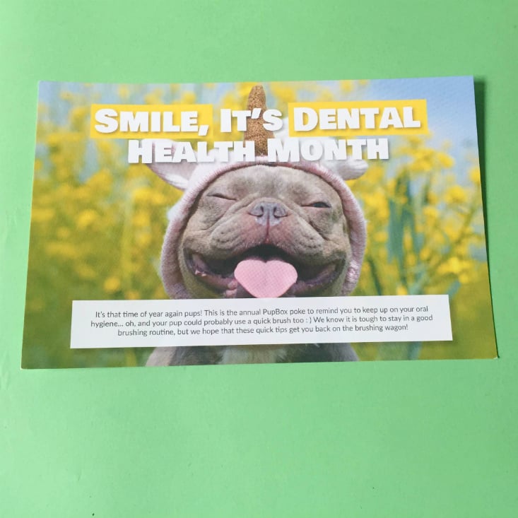 PupBox Subscription Box March 2020 Dental Card front