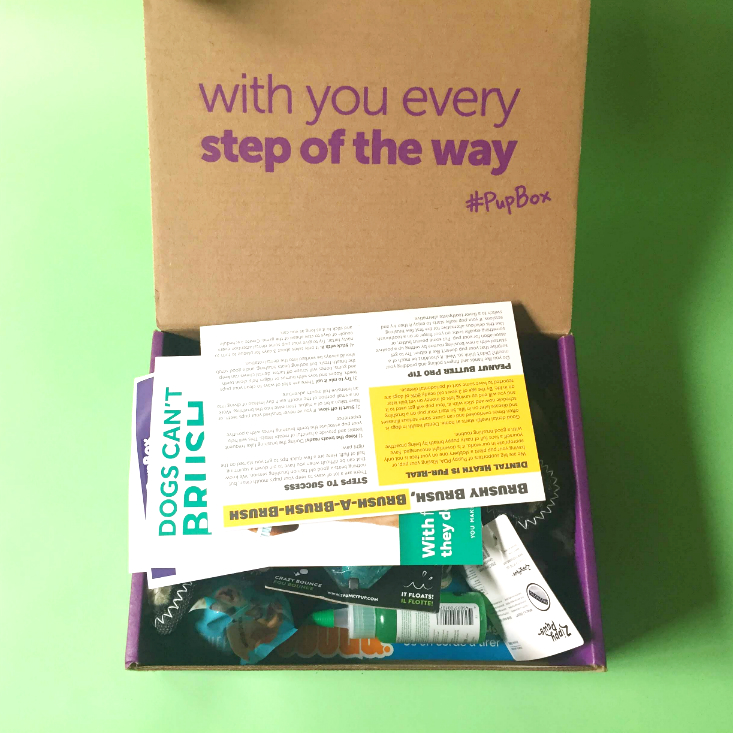 PupBox Subscription Review + Coupon March 2020 MSA