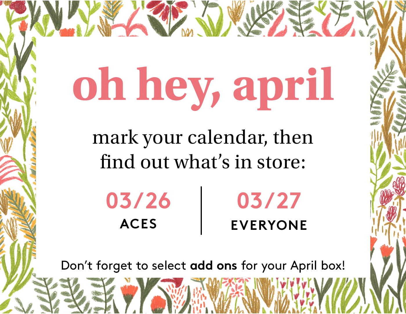 Birchbox April 2020 – Sample Choice + Curated Boxes Spoilers!