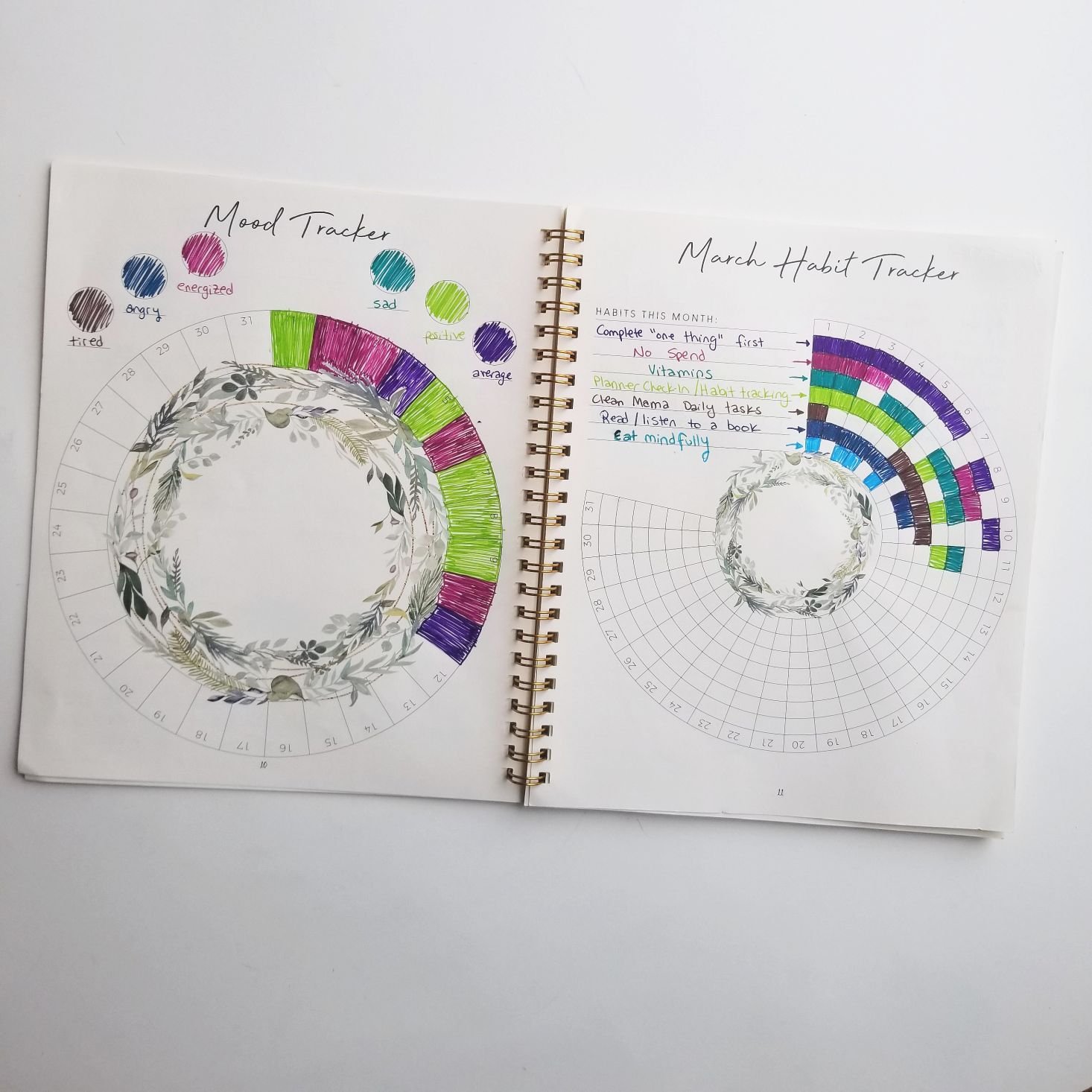 Silk + Sonder Planner March 2020 trackers exemplified