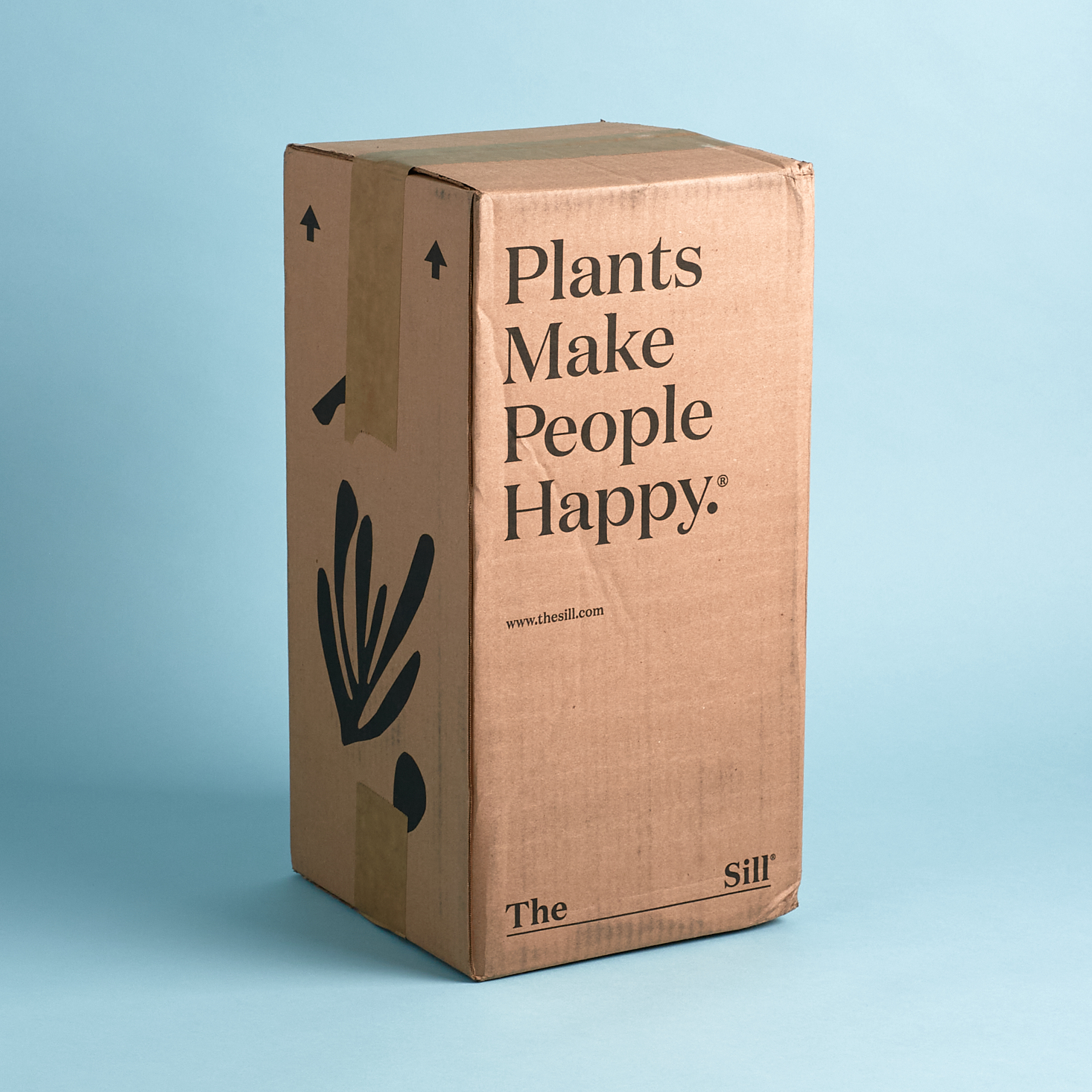 The Sill Plant Subscription Box Review – February 2020