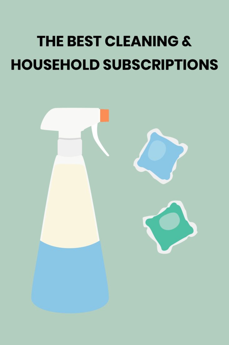 Best Cleaning & Household Subscriptions Pinterest Pin