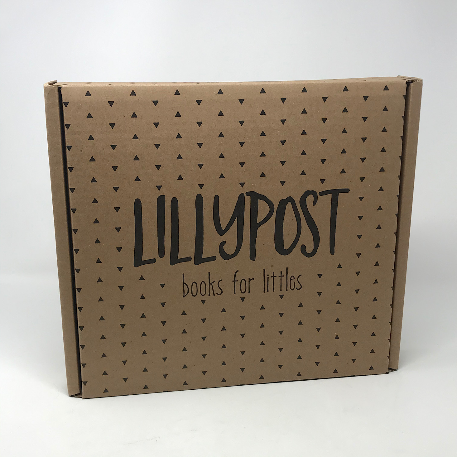 Lillypost Mixed Book Subscription Box Review – April 2020