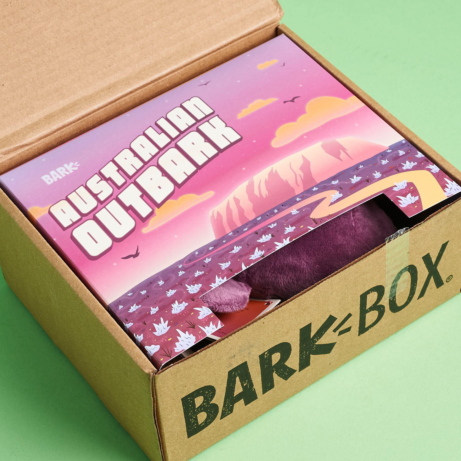 BarkBox Review + Coupon March 2020 MSA