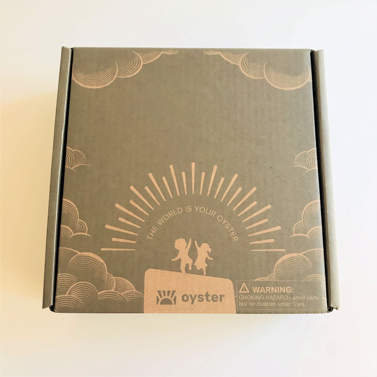 Oyster STEAM Subscription “Detective” Review – April 2020