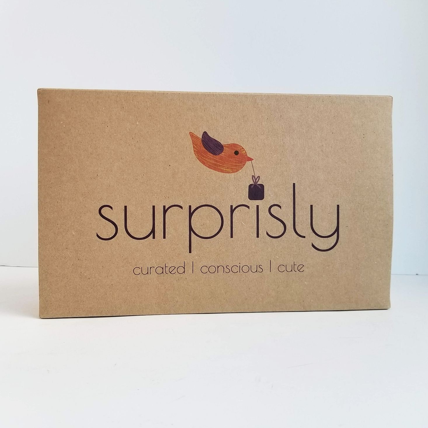 Surprisly Baby Clothing Subscription Box Review – June 2020