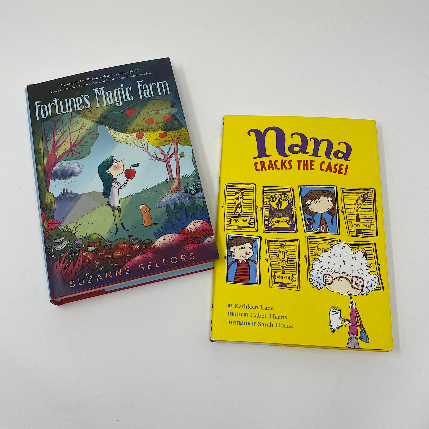 Bookroo Chapter Book Box Review + Coupon - May 2020 | MSA