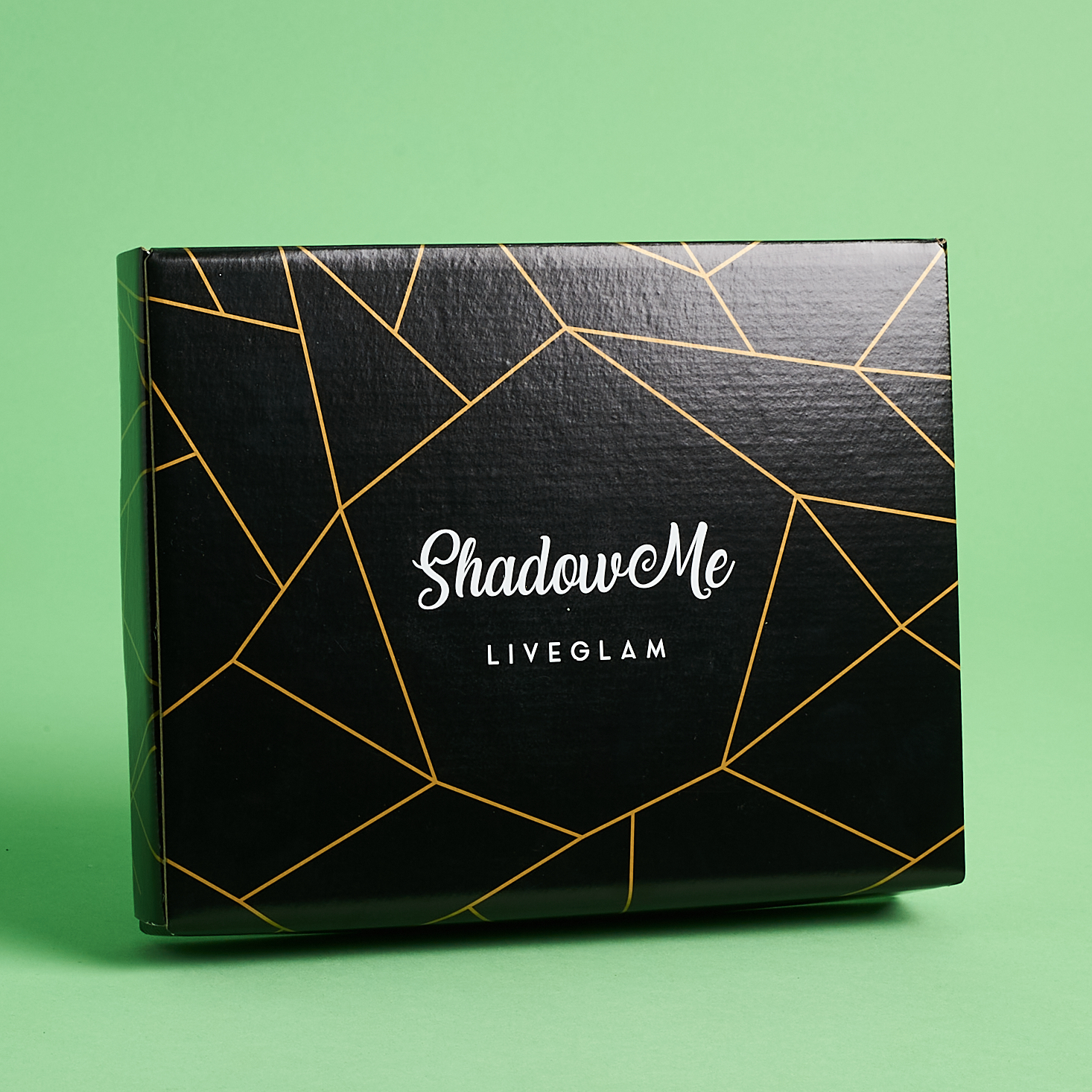 LiveGlam ShadowMe Palette Review + Coupon – June 2020