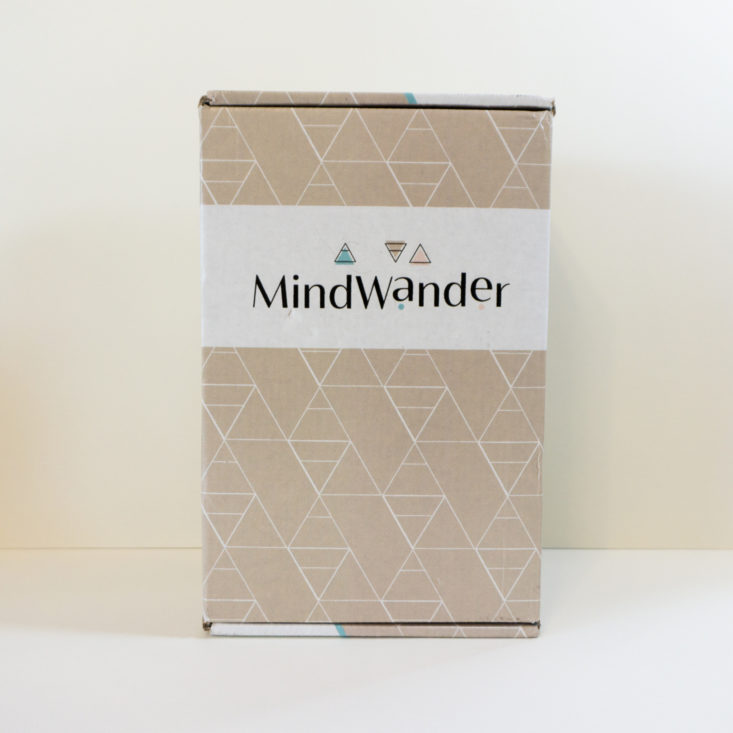 MindWander April 2020 box