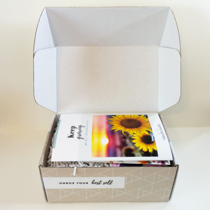 MindWander April 2020 box opened first look