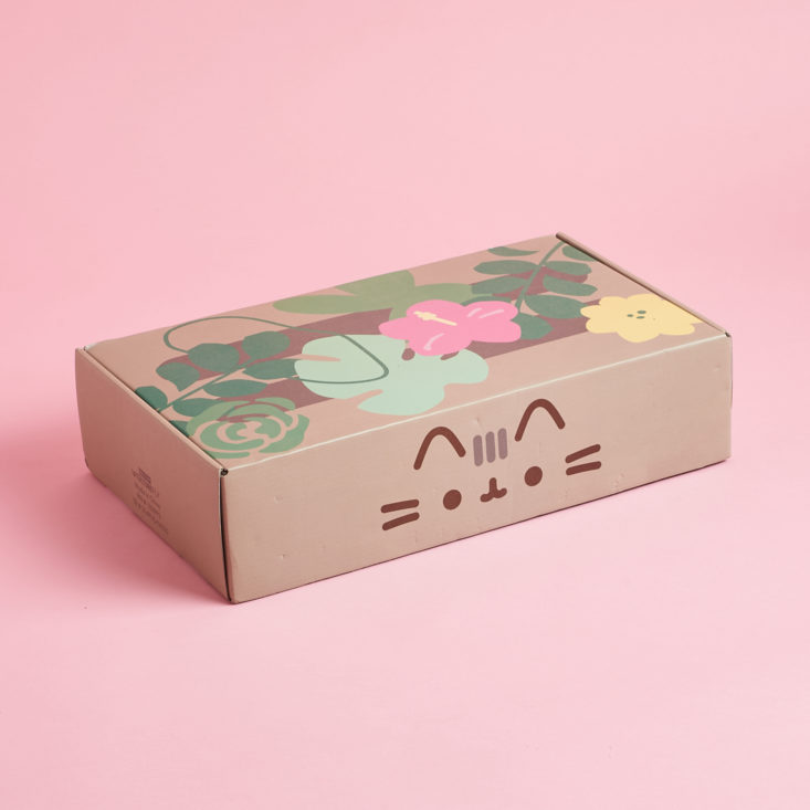 Pusheen Box review spring 2020