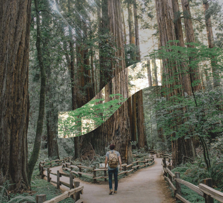 Photo of a man in a dense forest at a crossroads with the Sanvello logo at the forefront