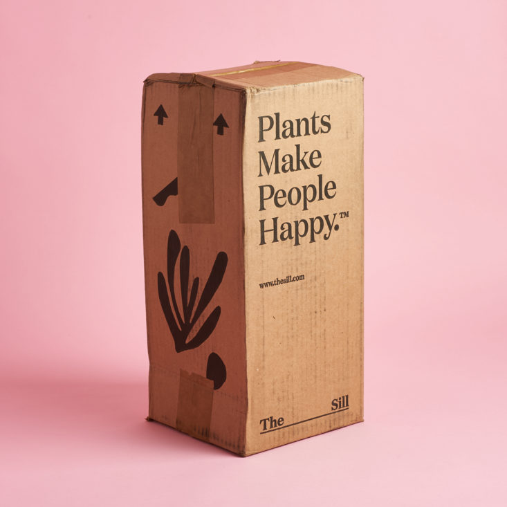 The Sill May 2020 plant subscription review