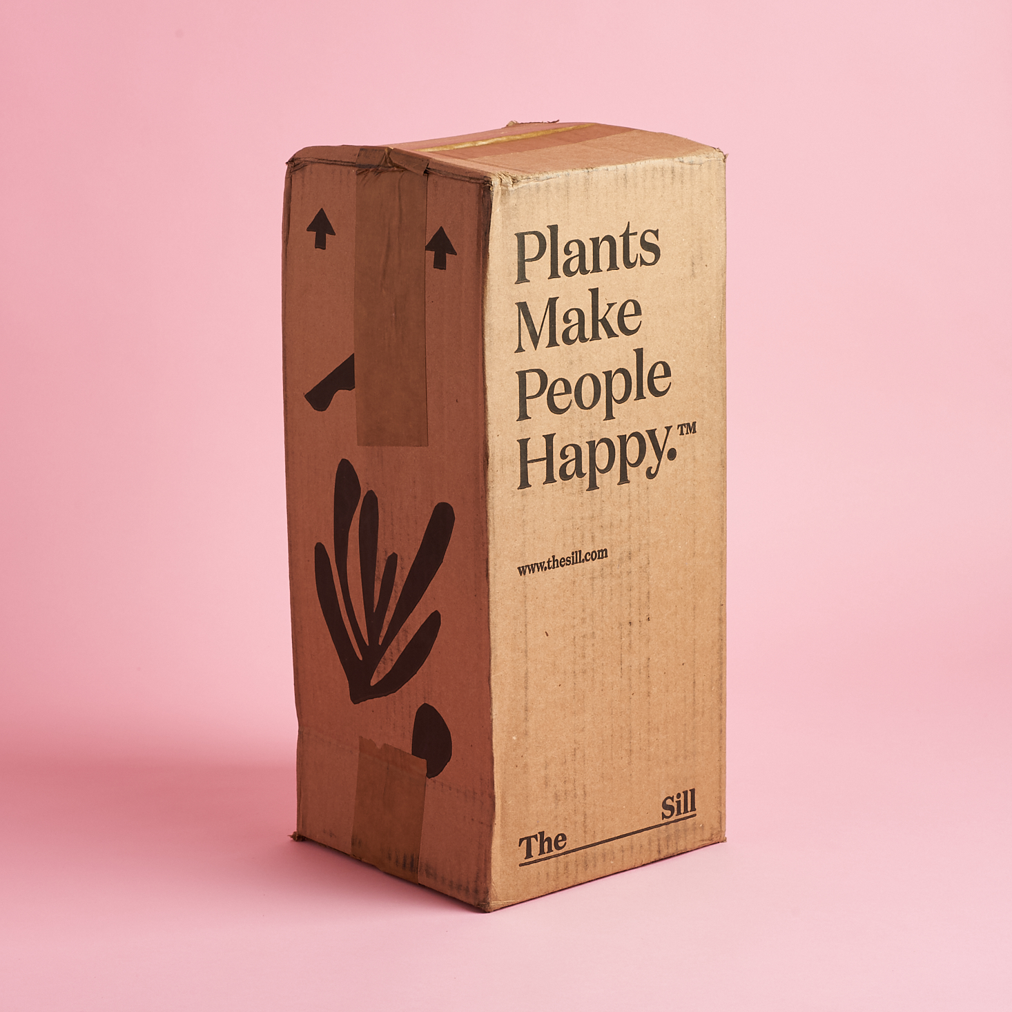 The Sill Plant Subscription Box Review – May 2020