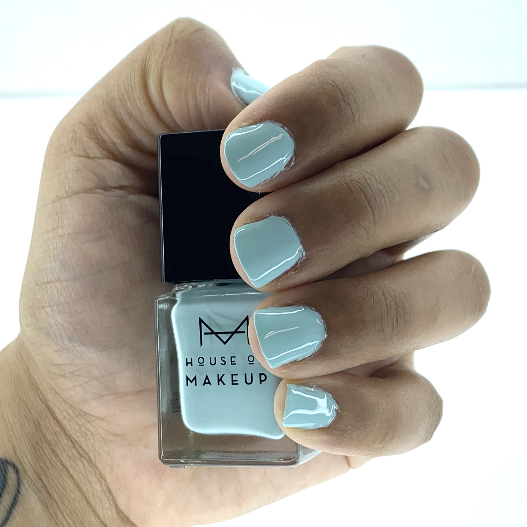 House of Makeup Nail Lacquer Frozen-24 Swatch for Ipsy Glam Bag June 2020