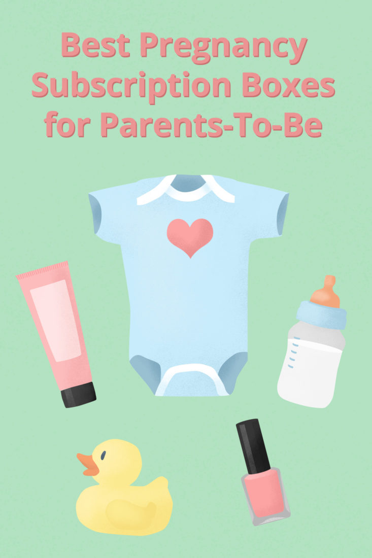 The 13 Best Pregnancy Subscription Boxes for ParentstoBe in 2020 MSA