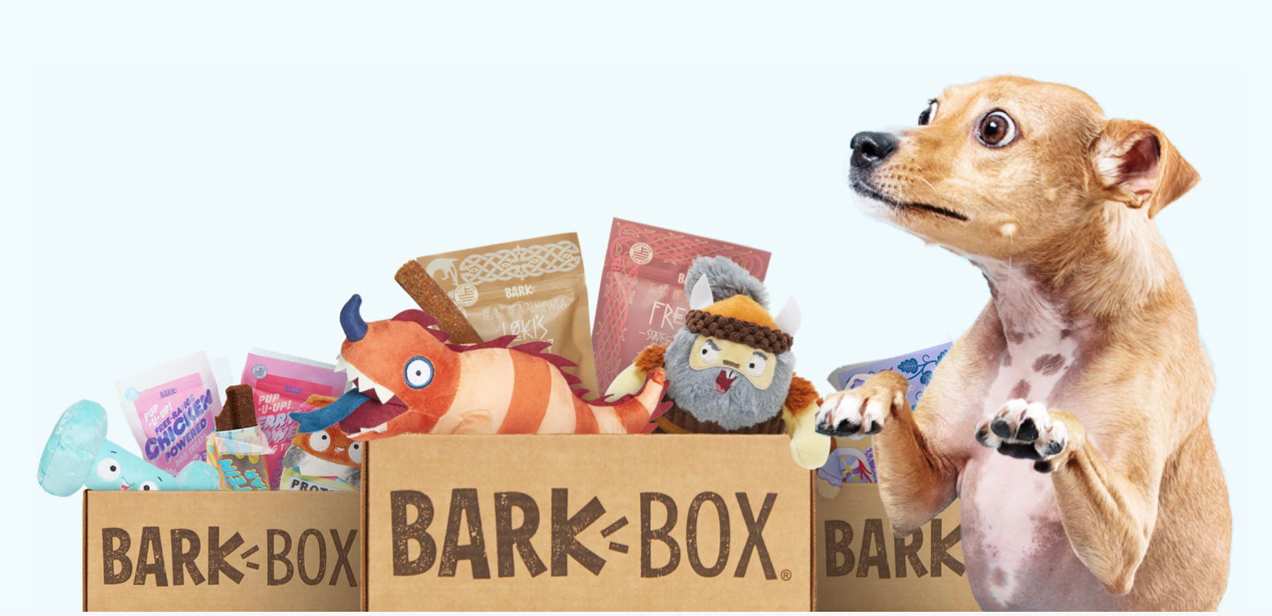 BarkBox Coupon – Free Toy With Each Box!