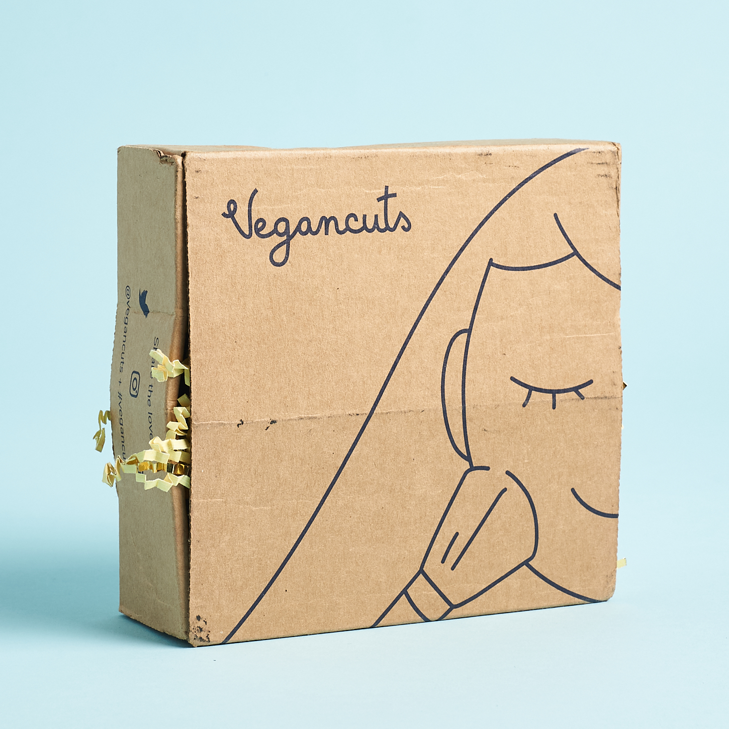 Vegancuts Makeup Box “Bronzed & Bright” Review – Summer 2020