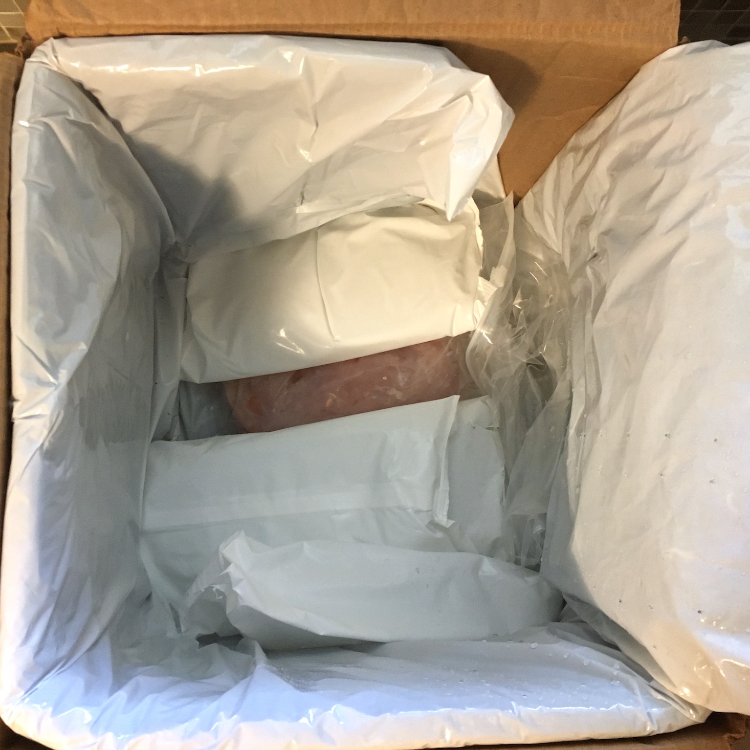 opened box showing ice packs over proteins