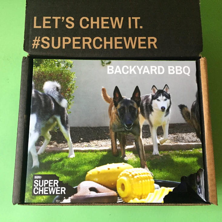 Super Chewer June 2020 Box open 1