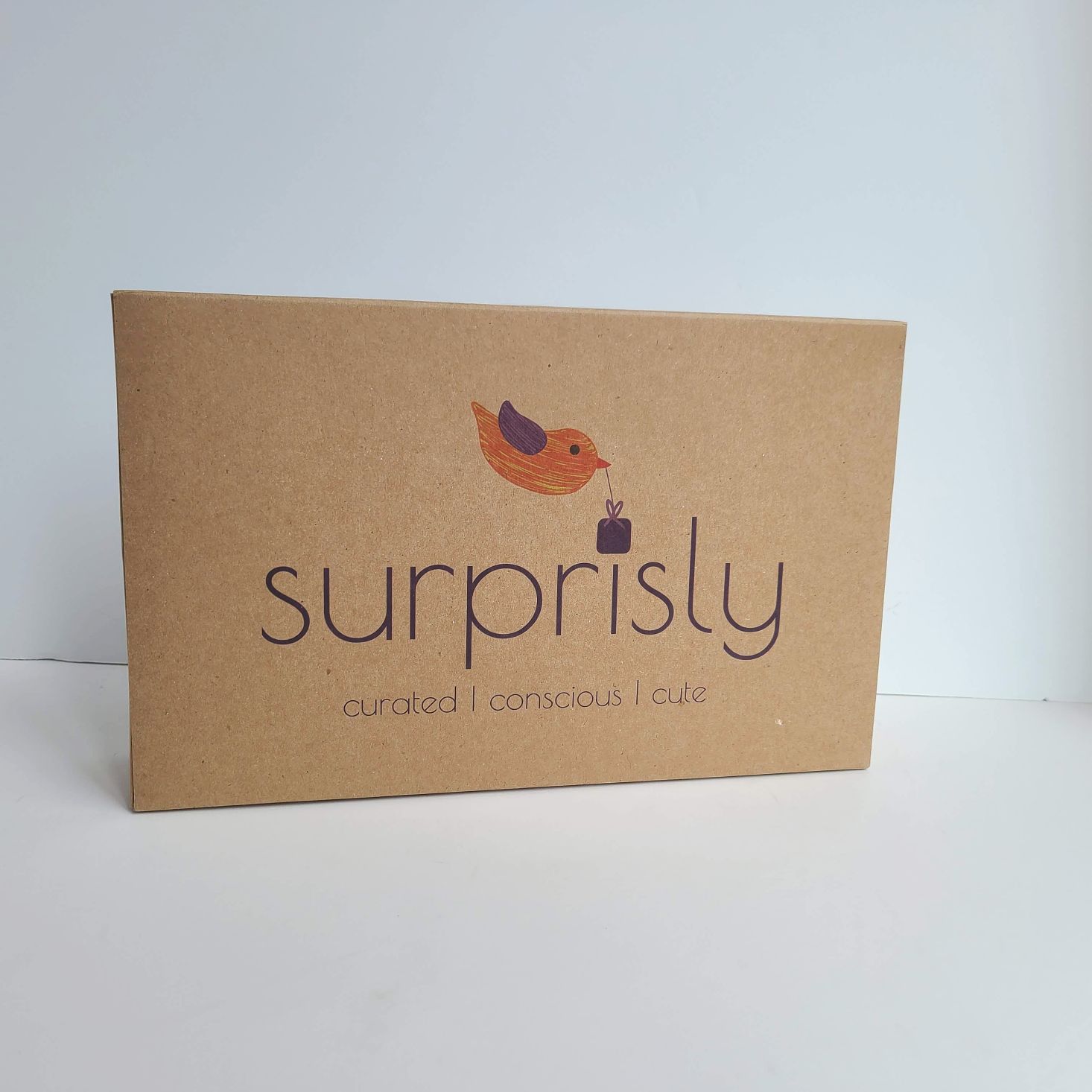 Surprisly Baby Clothing Subscription Box Review – July 2020