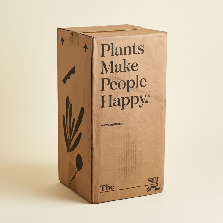 the sill plant subscription unboxing and review