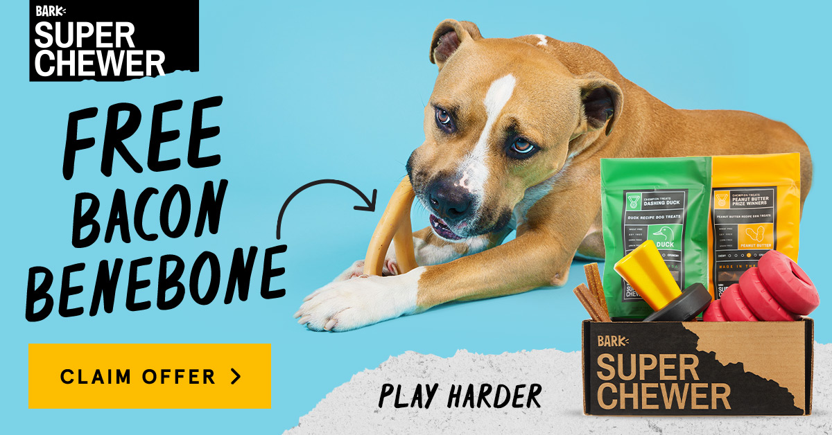 Super Chewer Coupon – Free Bacon Benebone With Your First Box!