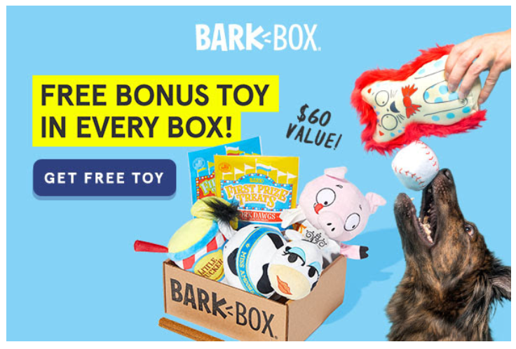 BarkBox Coupon - Free Toy in EVERY Box! | MSA