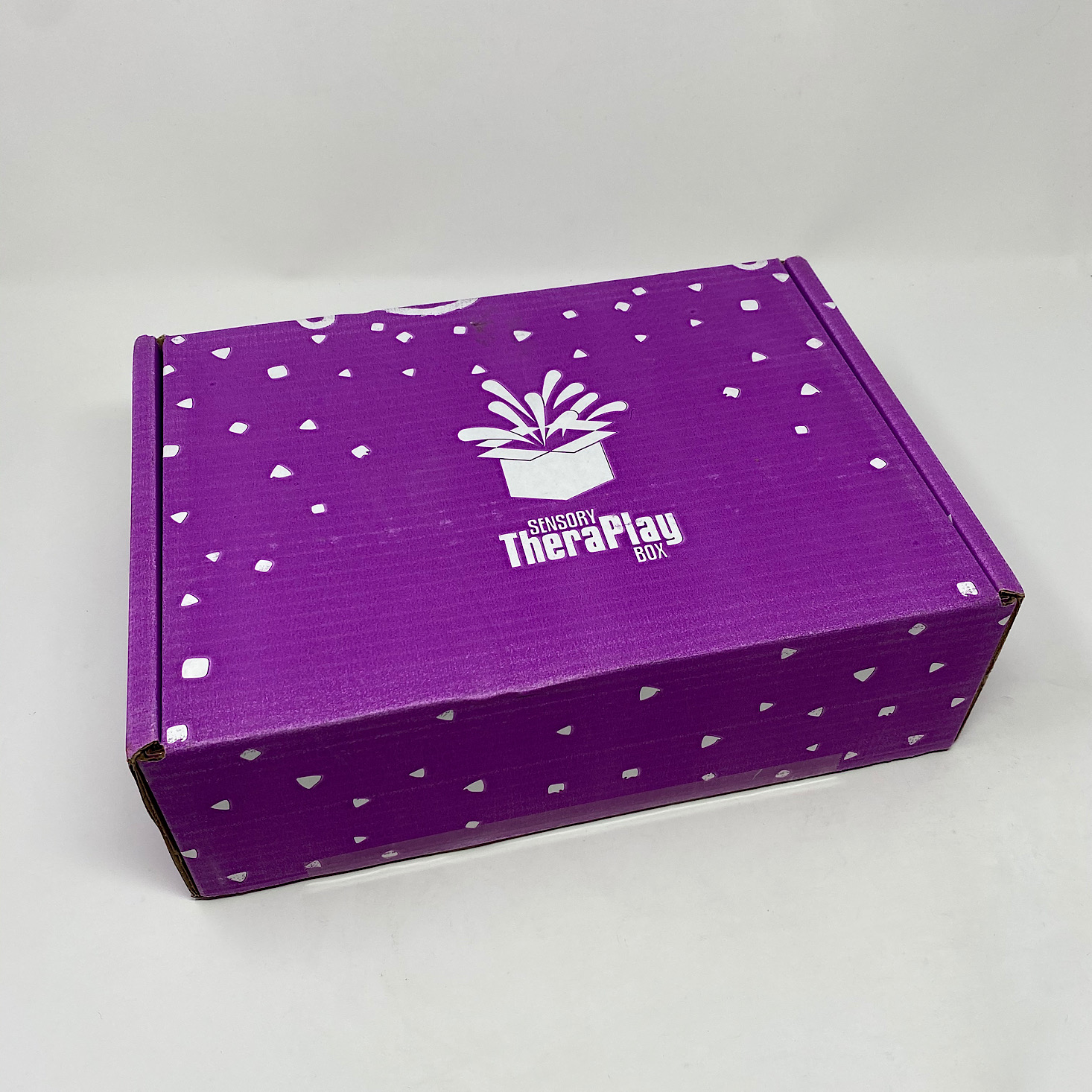 Sensory TheraPlay Box Review + Coupon – August 2020