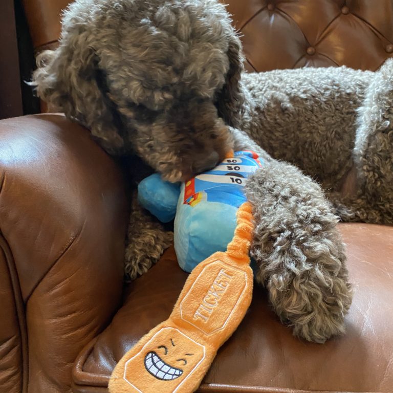 BarkBox Review + Coupon – August 2020 | MSA