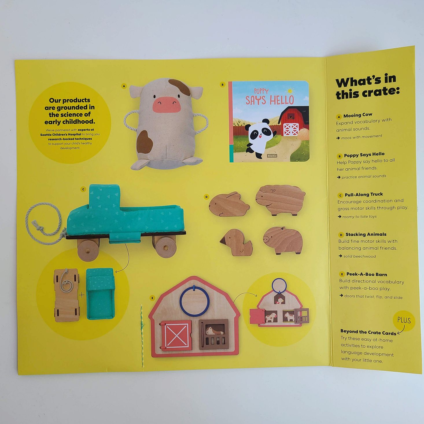 KiwiCo Panda Crate Review + Coupon Chat With Me MSA