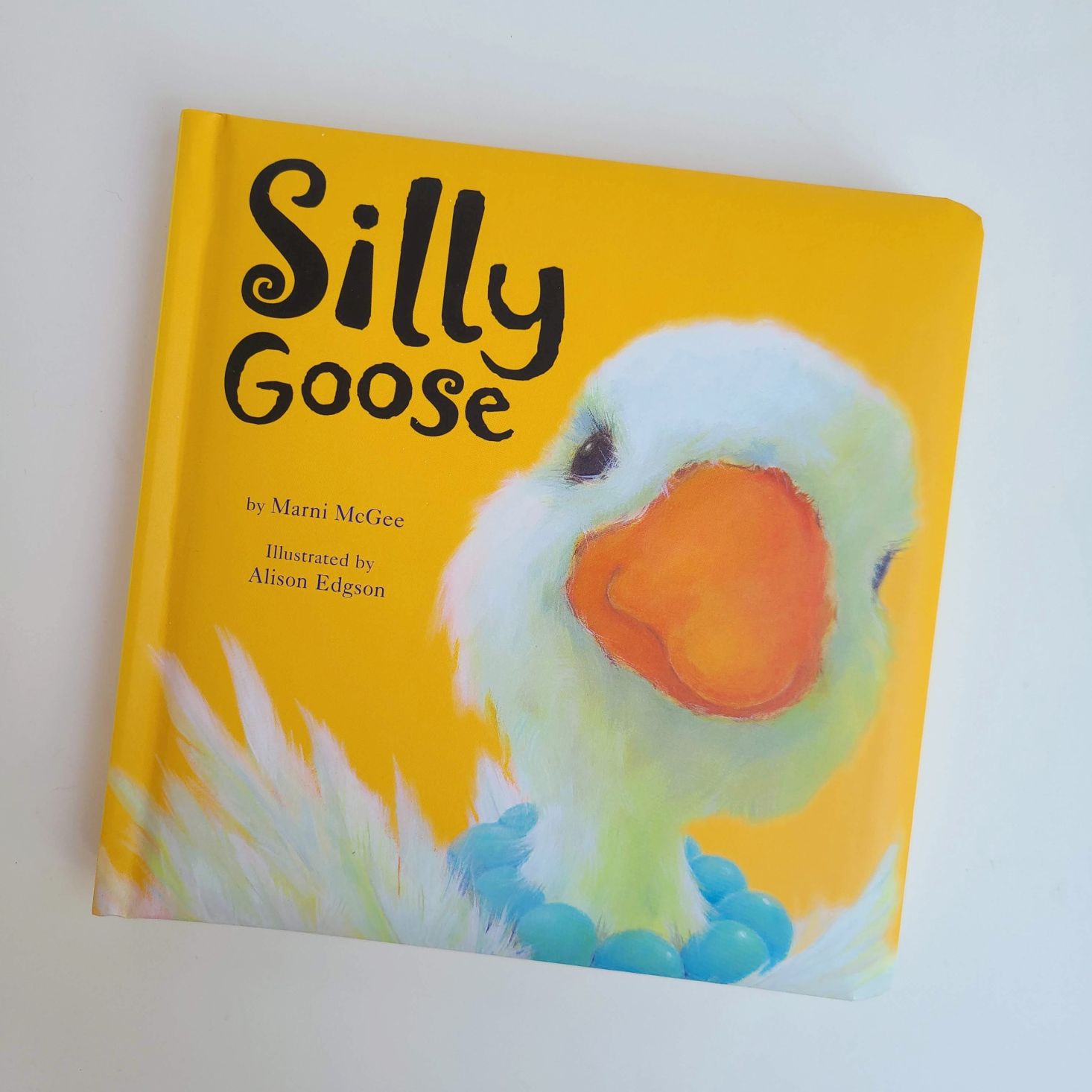 Preschool Box July 2020 Silly Goose book